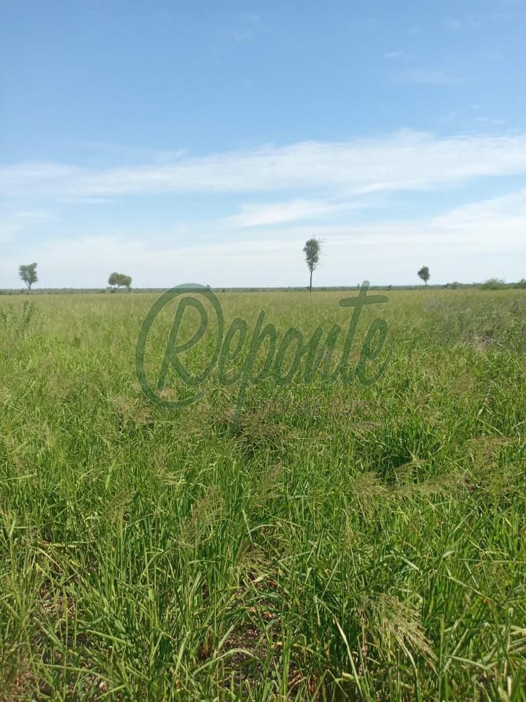 Fazenda em Tacuarembó/UY – 550 hectares