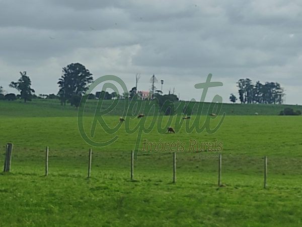 Fazenda em Rivera – Uruguai – 650 hectares