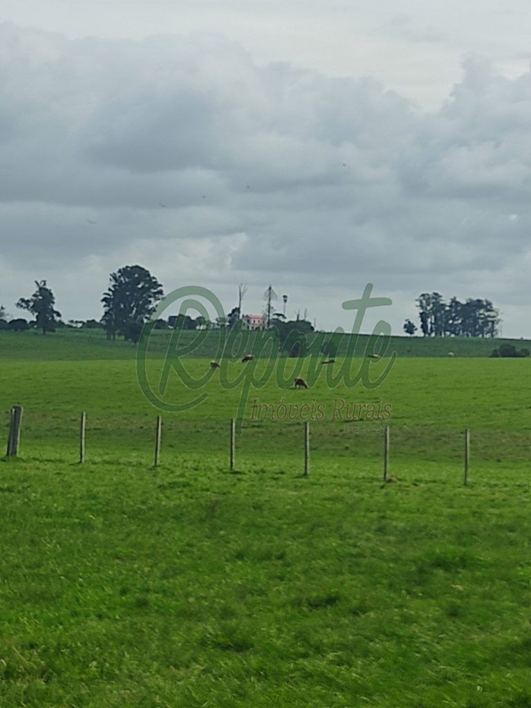 Fazenda em Rivera – Uruguai – 650 hectares