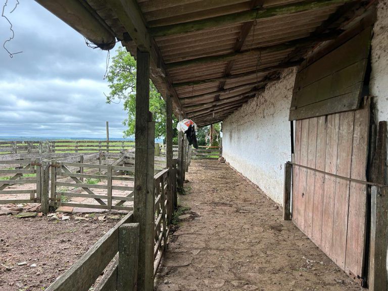 Fazenda de 1009 hectares em Tacuarembó