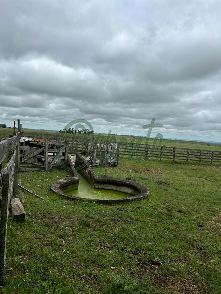 Fazenda de 1009 hectares em Tacuarembó