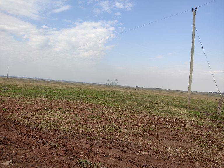 Estância de 1000 hectares em Tacuarembó