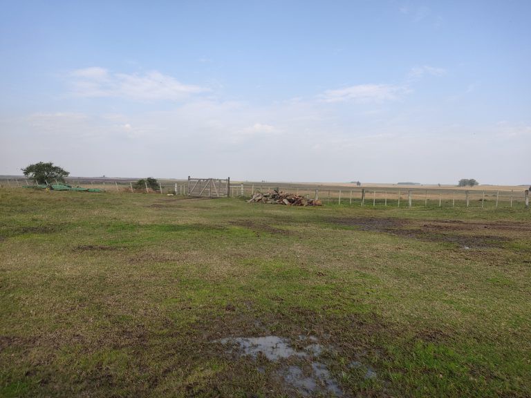 Estância de 1000 hectares em Tacuarembó