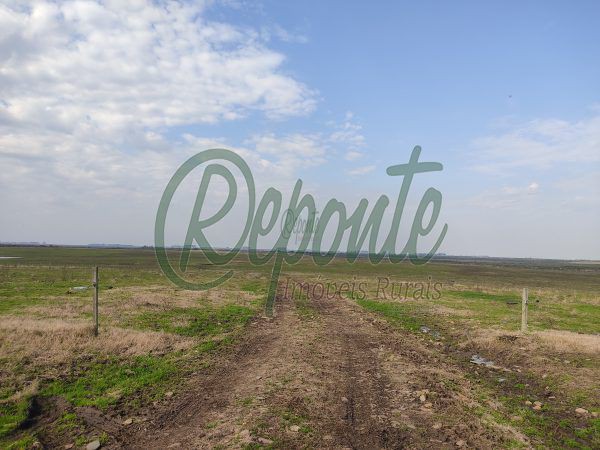 Estância de 1000 hectares em Tacuarembó