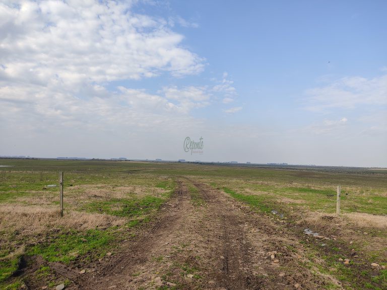 Estância de 1000 hectares em Tacuarembó