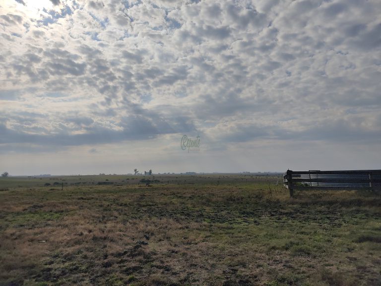 Estância de 1000 hectares em Tacuarembó