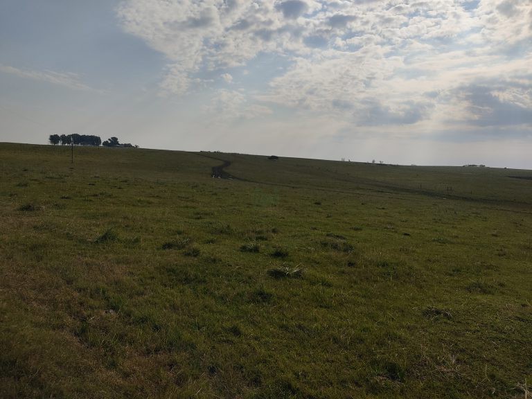 Estância de 1000 hectares em Tacuarembó