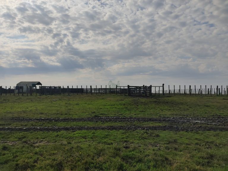 Estância de 1000 hectares em Tacuarembó