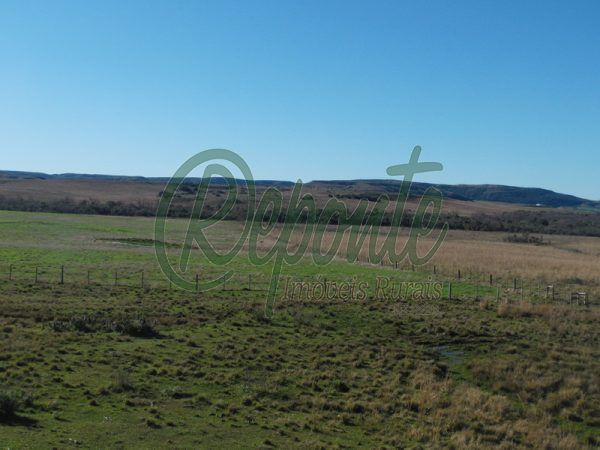 Fazenda em Rosário do Sul – 1760 hectares – agriculturável
