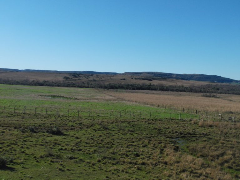 Fazenda em Rosário do Sul – 1760 hectares – agriculturável Fazenda em Rosário do Sul – 1760 hectares – agriculturável
