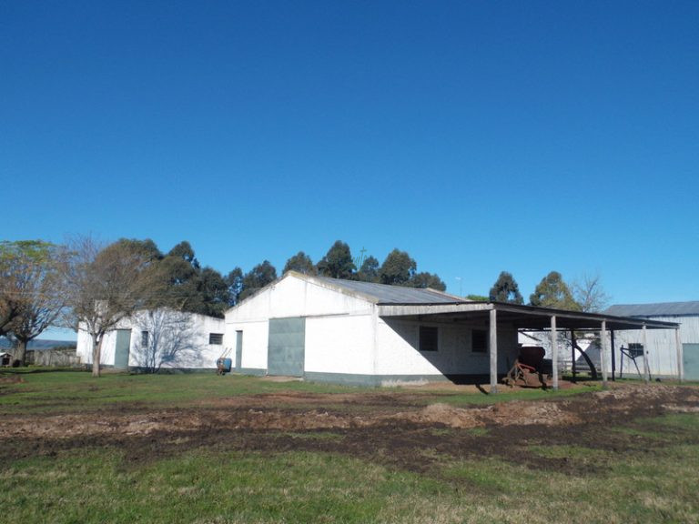 Fazenda em Rosário do Sul – 1760 hectares – agriculturável Fazenda em Rosário do Sul – 1760 hectares – agriculturável