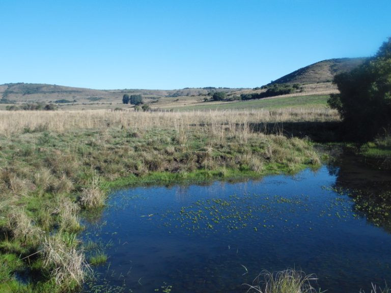 Fazenda em Rosário do Sul – 1760 hectares – agriculturável Fazenda em Rosário do Sul – 1760 hectares – agriculturável