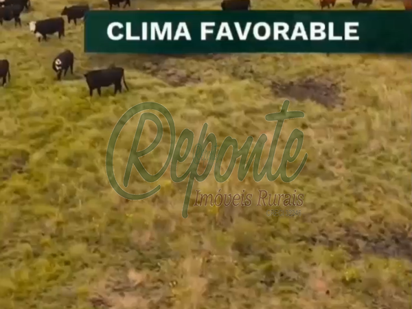 Fazenda em Colônia Palma à Venda: Oportunidade no Uruguai