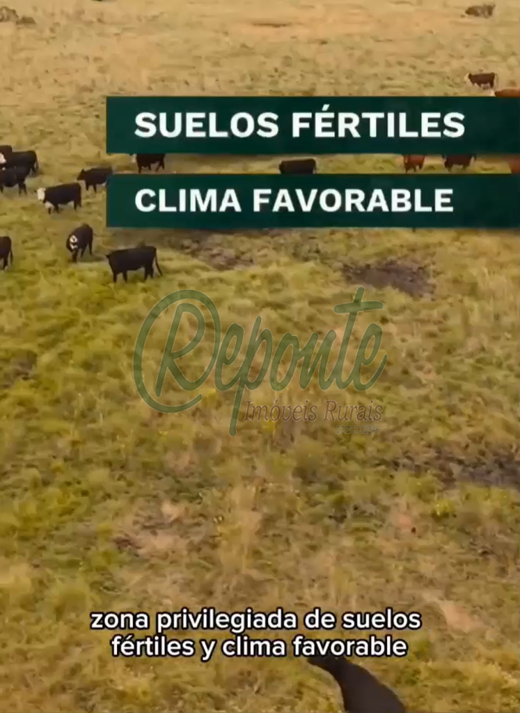 Fazenda em Colônia Palma à Venda: Oportunidade no Uruguai Fazenda em Colônia Palma à Venda: Oportunidade no Uruguai