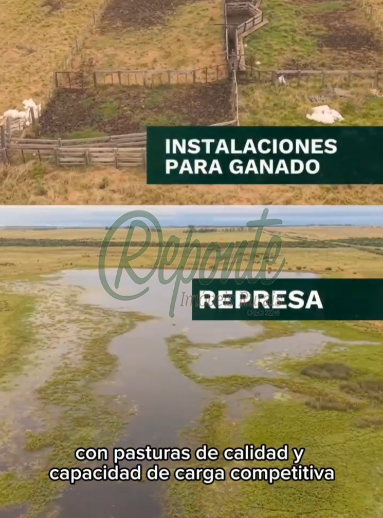 Fazenda em Colônia Palma à Venda: Oportunidade no Uruguai Fazenda em Colônia Palma à Venda: Oportunidade no Uruguai