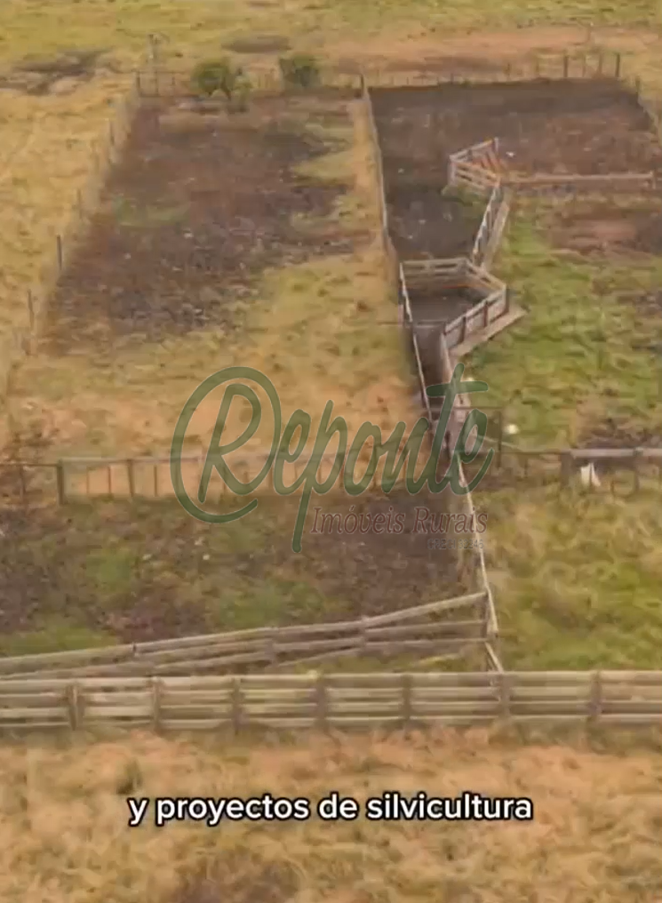 Fazenda em Colônia Palma à Venda: Oportunidade no Uruguai Fazenda em Colônia Palma à Venda: Oportunidade no Uruguai