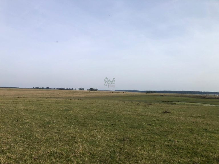 Fazenda no Uruguai – 9.112 hectares – ao norte Fazenda no Uruguai – 9.112 hectares – ao norte