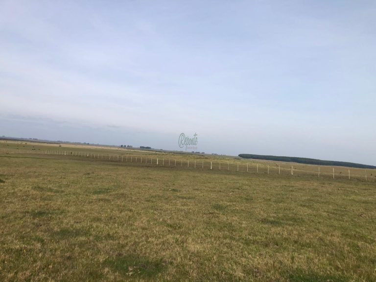 Fazenda no Uruguai – 9.112 hectares – ao norte Fazenda no Uruguai – 9.112 hectares – ao norte