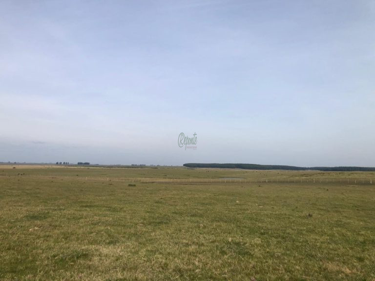 Fazenda no Uruguai – 9.112 hectares – ao norte Fazenda no Uruguai – 9.112 hectares – ao norte