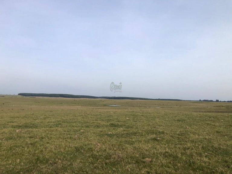 Fazenda no Uruguai – 9.112 hectares – ao norte Fazenda no Uruguai – 9.112 hectares – ao norte
