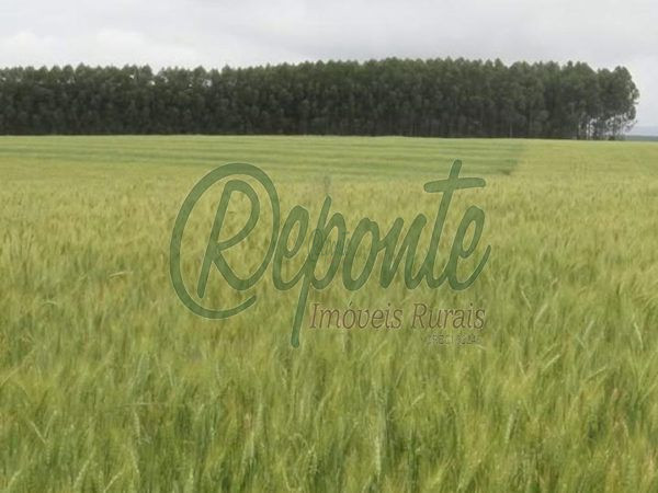 Fazenda à Venda em Cachoeira do Sul – RS: Oportunidade Única na BR-290