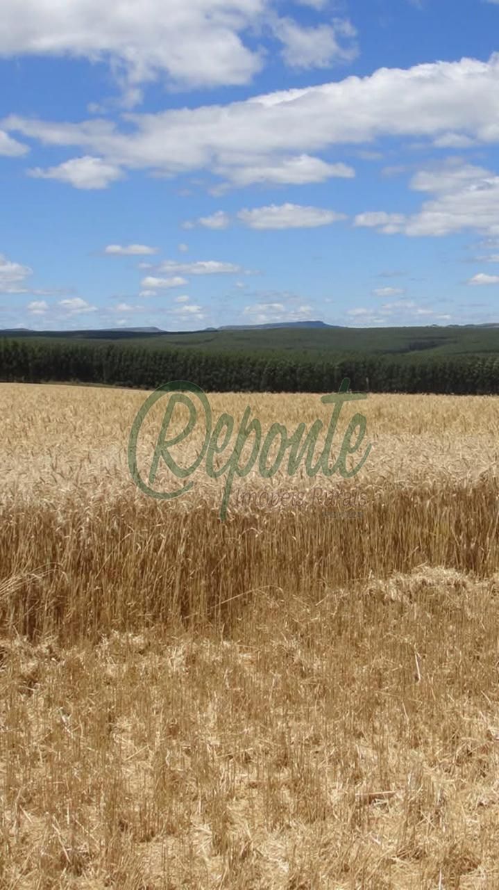 Fazenda à Venda em Cachoeira do Sul – RS: Oportunidade Única na BR-290