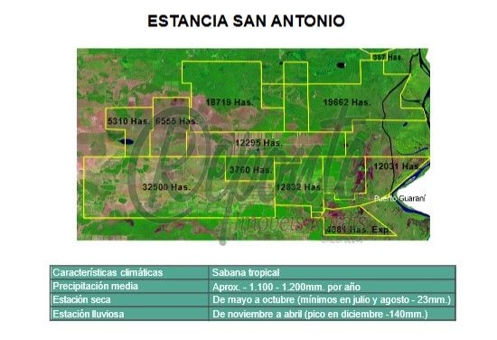 Fazenda em Alto Paraguay – 38738 hectares Fazenda em Alto Paraguay – 38738 hectares