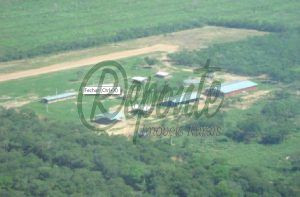 fazenda em Alto Paraguay