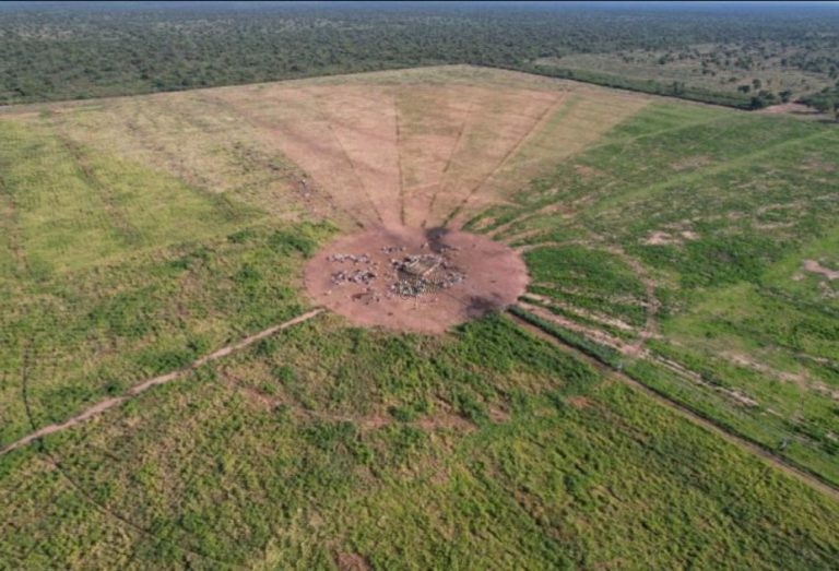 Fazenda em Colonia La Patria – 16263 hectares Fazenda em Colonia La Patria – 16263 hectares
