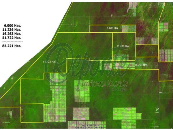 Fazenda em Colonia La Patria – 16263 hectares