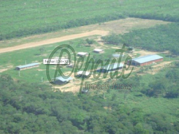 Fazenda em Alto Paraguay – 61923 hectares