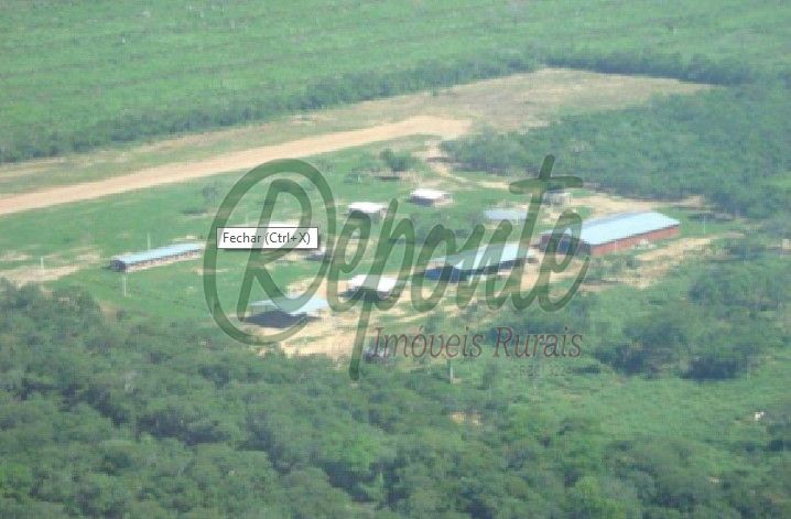 Fazenda em Alto Paraguay – 61923 hectares Fazenda em Alto Paraguay – 61923 hectares