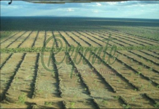 Fazenda em Alto Paraguay – 61923 hectares Fazenda em Alto Paraguay – 61923 hectares