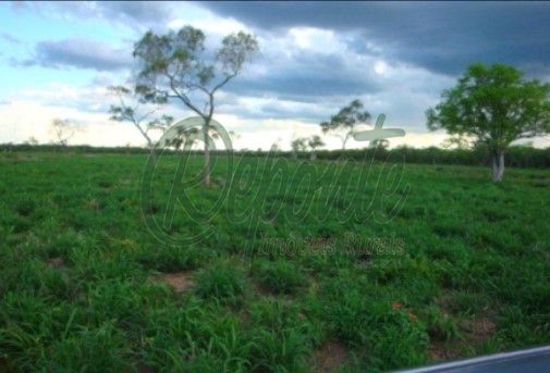 Fazenda em Alto Paraguay – 61923 hectares Fazenda em Alto Paraguay – 61923 hectares