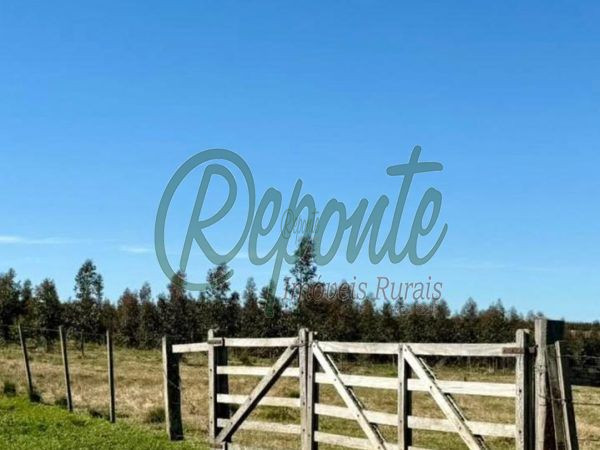 Fazenda à venda no Uruguai – Tacuarembó