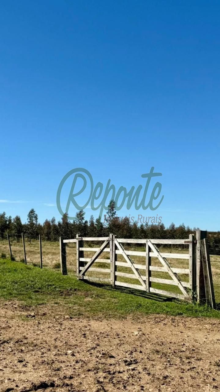 Fazenda à venda no Uruguai – Tacuarembó