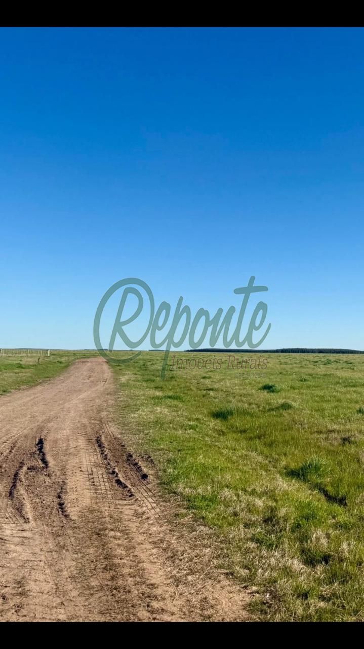 Fazenda à venda no Uruguai – Tacuarembó