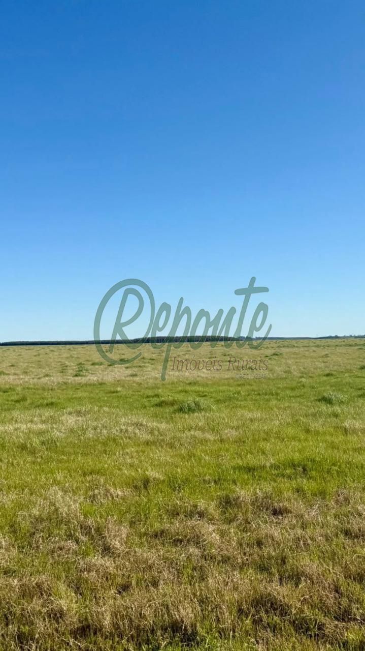 Fazenda à venda no Uruguai – Tacuarembó