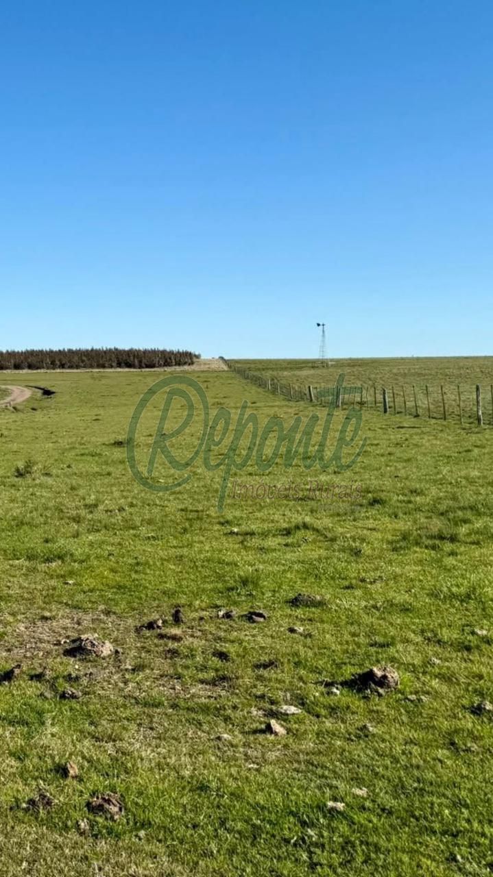 Fazenda à venda no Uruguai – Tacuarembó