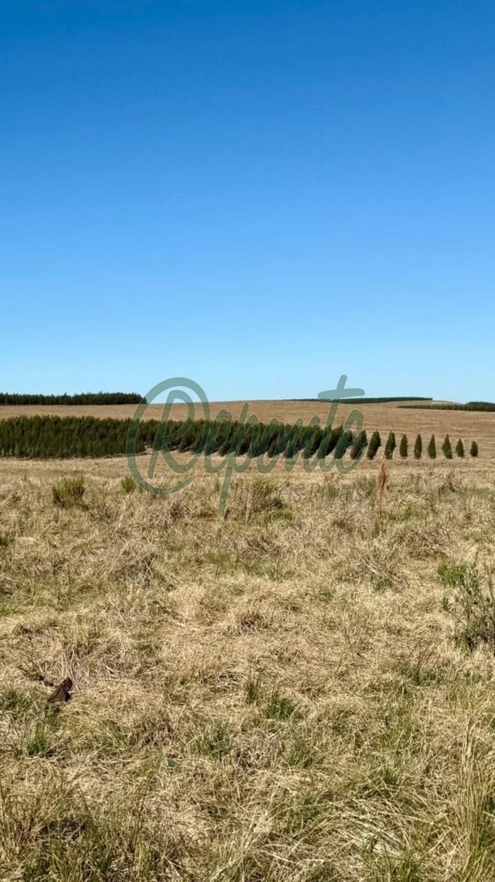 Fazenda à venda no Uruguai – Tacuarembó