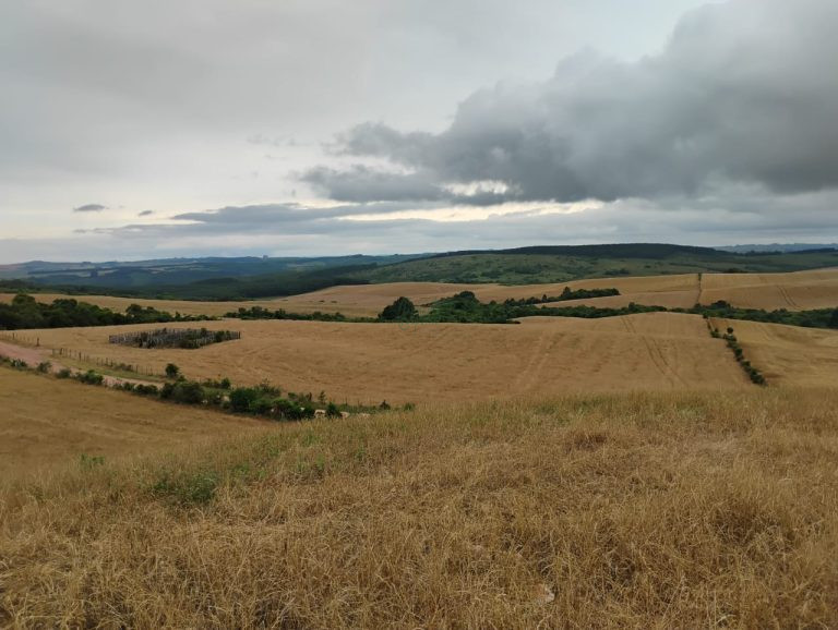 Fazenda em Encruzilhada do Sul: oportunidade para lavoura e pecuária