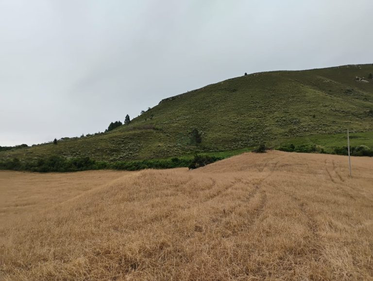 Fazenda em Encruzilhada do Sul: oportunidade para lavoura e pecuária