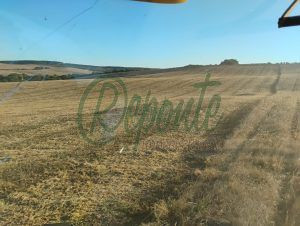 fazenda em encruzilhada do sul