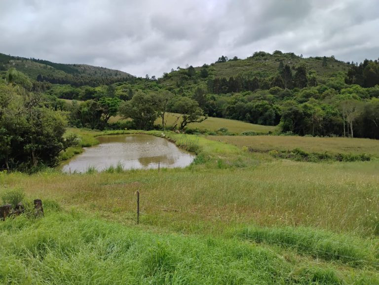 Fazenda em Encruzilhada do Sul: oportunidade para lavoura e pecuária