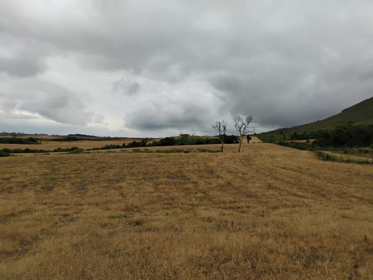 Fazenda em Encruzilhada do Sul: oportunidade para lavoura e pecuária