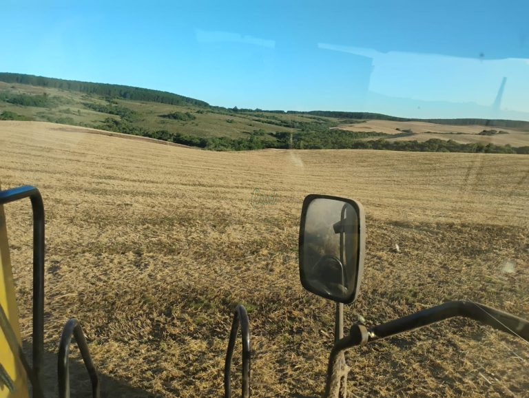 Fazenda em Encruzilhada do Sul: oportunidade para lavoura e pecuária