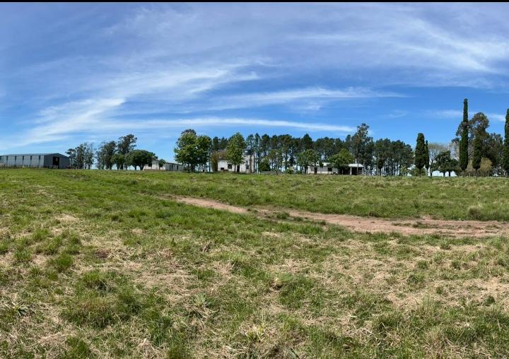Fazenda no Norte do Uruguai – 2200 hectares