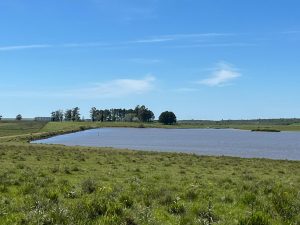 fazenda no norte do Uruguai