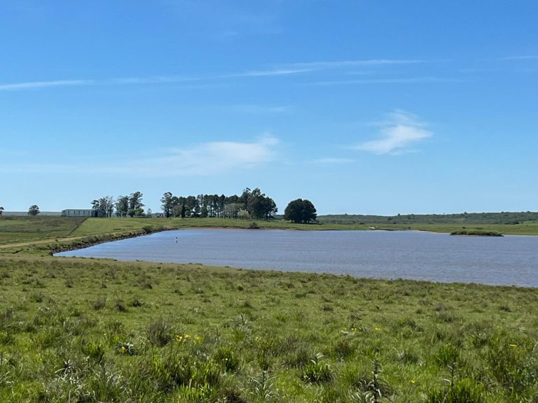 Fazenda no Norte do Uruguai – 2200 hectares