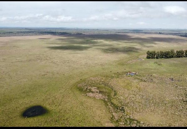 Fazenda no Norte do Uruguai (UY)